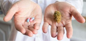 haid tak teratur, masalah haid, tempoh haid, kitaran haid, jarak haid normal, darah haid, ciri darah haid, haid wanita, haid perempuan, pertama kali haid, haid yang pertama,