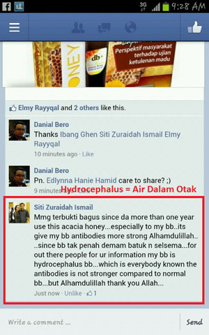 Facebook Puan Siti Zuraidah Ismail